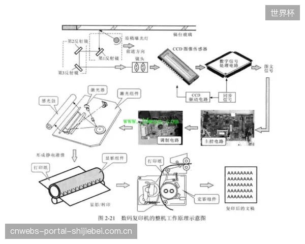 市场上涌现的大批“激光扫描对齐工程师”多为速成,缺乏对保龄球运动机理的深入理解,正在制造新的维护隐患 市场上涌现的大批“激光扫描对齐工程师”多为速成,缺乏对保龄球运动机理的深入理解,正在制造新的维护隐患